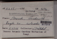 Image Associated With the Occurence